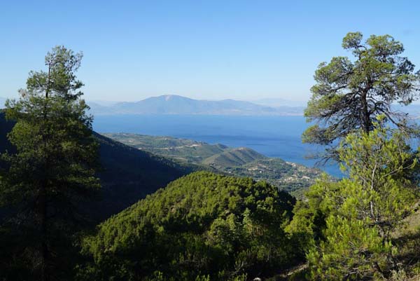 Εικόνα Ανάρτησης